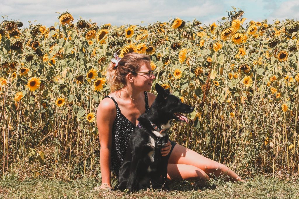 rebecca and meg in sunflowers