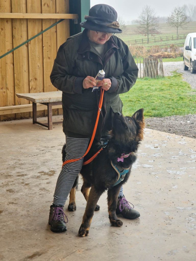 Owner and dog at Doggy Intermediate Training