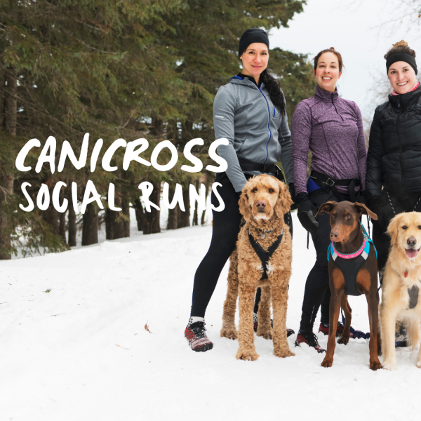 Canicross Social runs