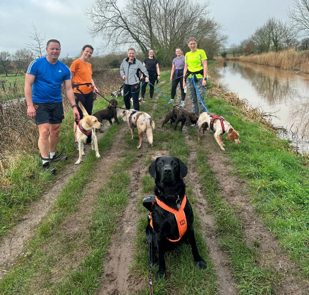 a group of participants at Barkrun with their dogs in Taunton